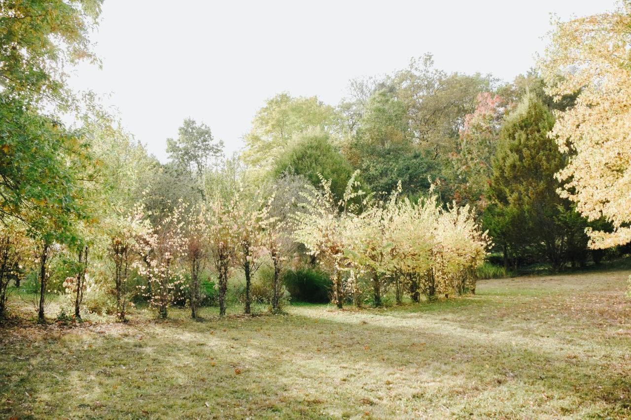 Maison Cistus - Maison D'Hotes De Charme - Suites Et Gite Avec Terrasses Privees - Proche De Sarlat, Au Coeur De La Nature Exteriér fotografie